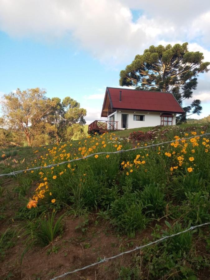 Chale Com Vidros E Hidromassagem Villa São Bento do Sapucaí Exterior photo